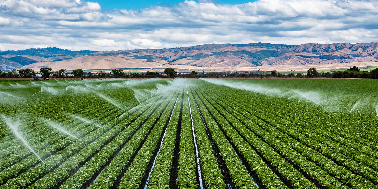 Located in the heart of King's city. Explore the beauty of the Salinas Valley while staying at Keefer's Inn